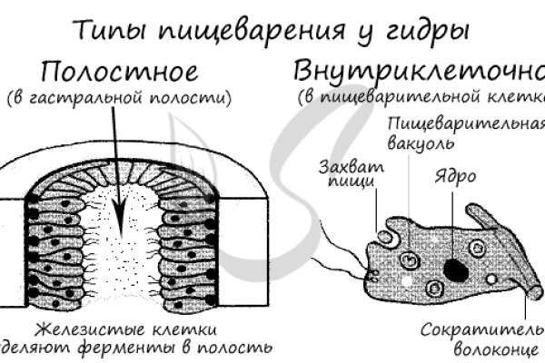 Кракен наркомагазин